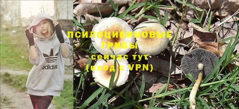 цена   Барнаул  ссылка на мегу как зайти  Галлюциногенные грибы MAGIC MUSHROOMS 