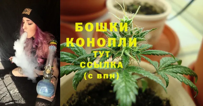 Каннабис SATIVA & INDICA  что такое наркотик  Барнаул 